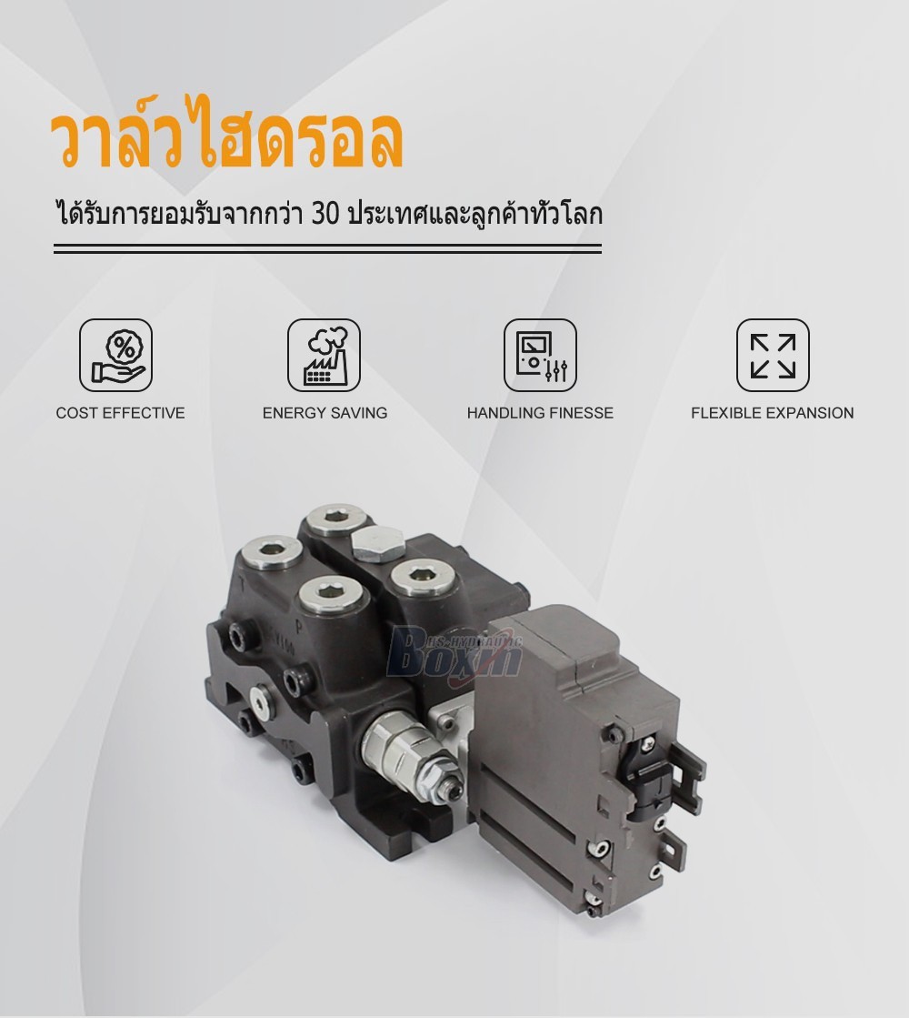 Industrial Hydraulic Component Factory Supplying DCV100EMA-OT 1 Spool Sectional Directional Valve